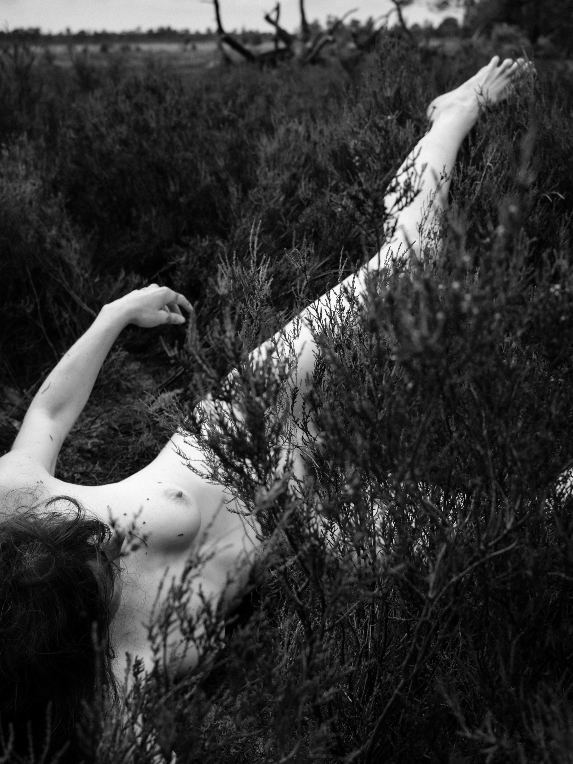 Solivagant